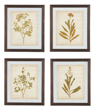 Load image into Gallery viewer, Dyani Wall Art Set (4/CN)
